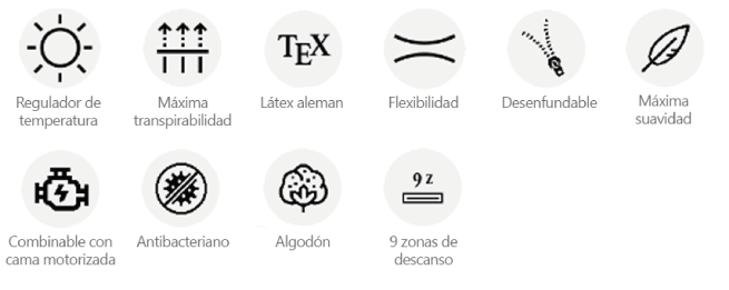 caracteristicas ergo-visco